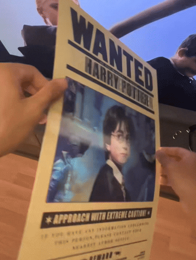 Plakat 3D Harry Potter